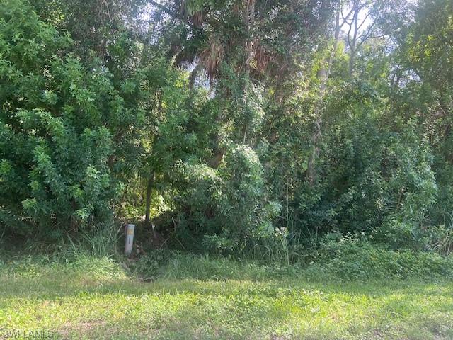 Listing Details for Lot 72 Tbd Andrews Ave Ave, NAPLES, FL 34112