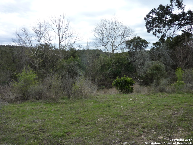 Image 2 of 8 For 17032 Scenic Loop Road