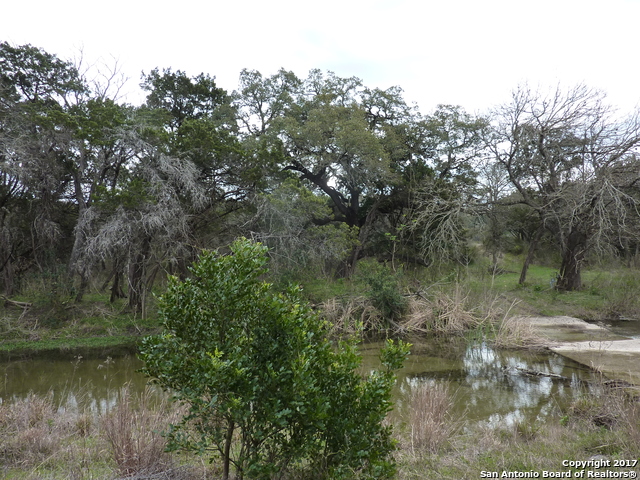 Image 6 of 8 For 17032 Scenic Loop Road