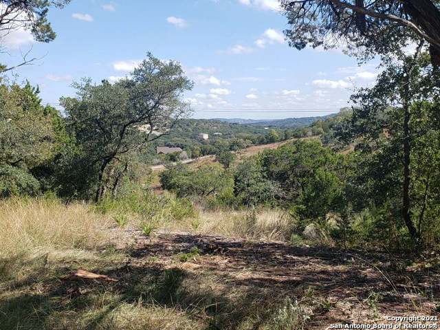 Listing photo id 8 for 11002 Caliza Bluff