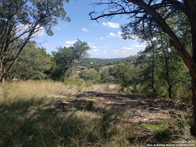 Listing photo id 9 for 11002 Caliza Bluff