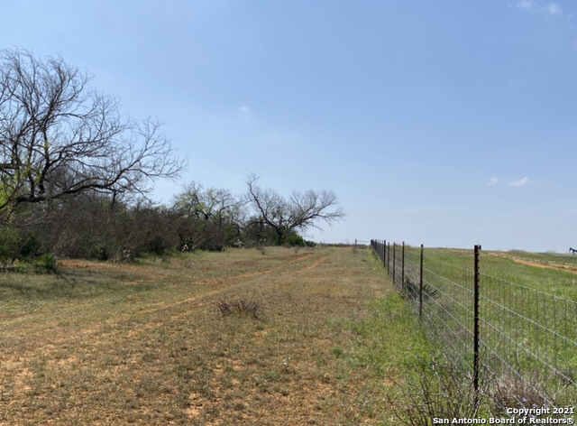 Image 11 of 16 For 000 County Road 314