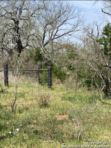 Image 8 of 16 For 000 County Road 314