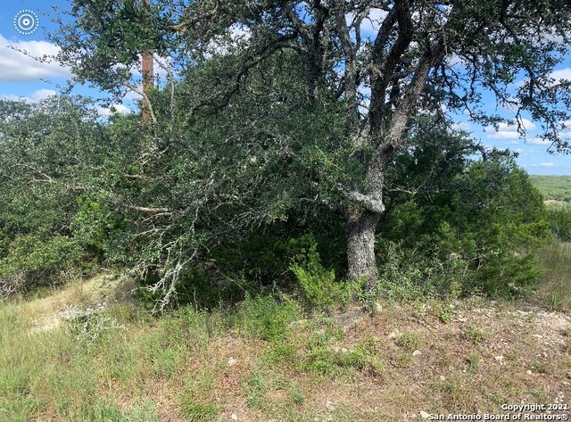 Listing photo id 3 for 1406 Soaring Eagle Dr