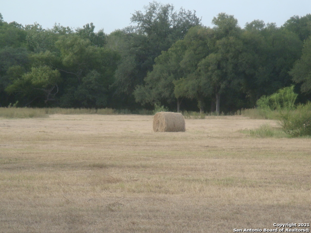 Image 15 of 20 For 16223 Interstate 35 S