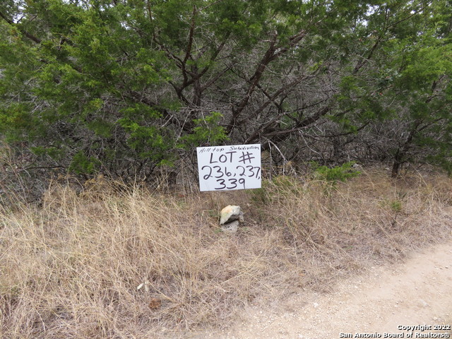 Image 1 of 8 For Lot 236,237,339 Hilltop Loop