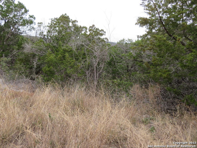 Image 2 of 8 For Lot 236,237,339 Hilltop Loop