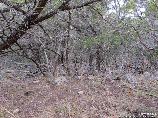 Image 4 of 8 For Lot 236,237,339 Hilltop Loop