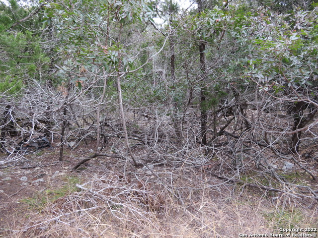 Image 4 of 9 For Lot 238-241 Hilltop Loop