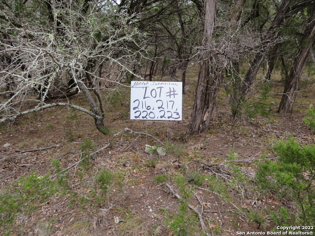 Details for Lot 216,217,& West Slop Trail, Lakehills, TX 78063