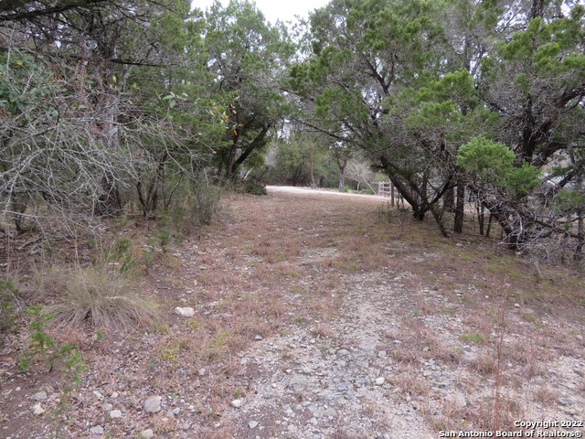 Image 4 of 11 For Lot 216,217,& West Slop Trail