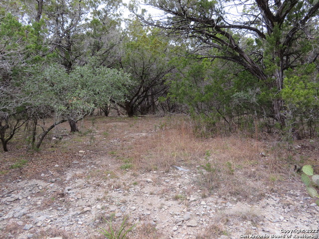 Image 5 of 11 For Lot 216,217,& West Slop Trail