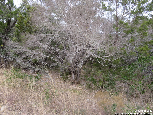 Image 4 of 13 For Lot 177-179 & Hilltop Circle