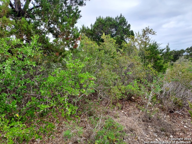 Image 14 of 17 For Lot 74 Pr 1712