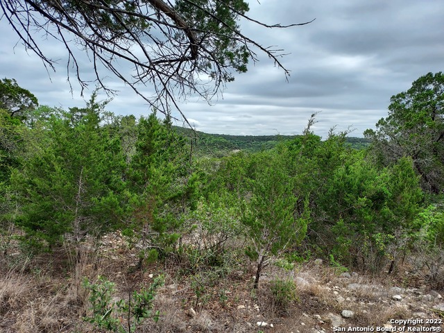 Image 15 of 17 For Lot 74 Pr 1712