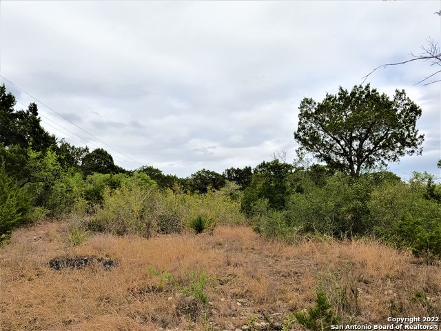 Image 5 of 17 For Lot 74 Pr 1712