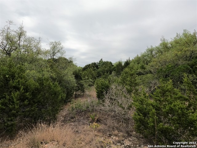 Image 11 of 23 For Lot 75 Pr 1712