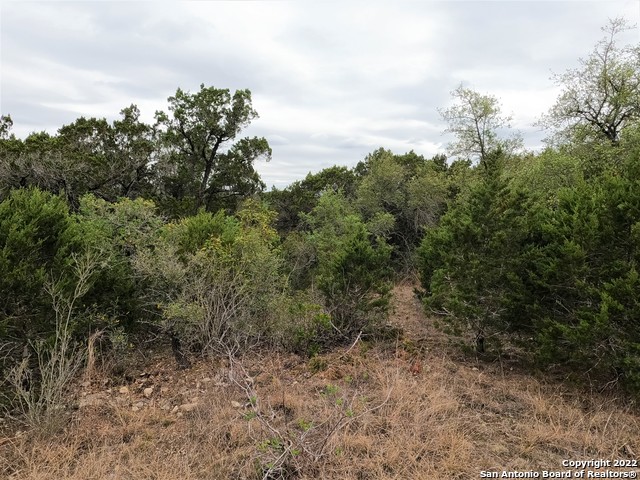 Image 5 of 23 For Lot 75 Pr 1712