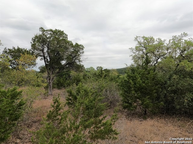 Image 9 of 23 For Lot 75 Pr 1712