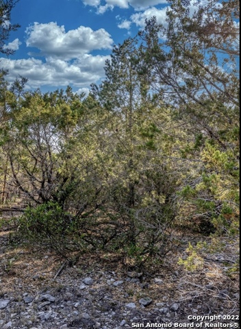 Image 8 of 23 For 024 Leona Ranch