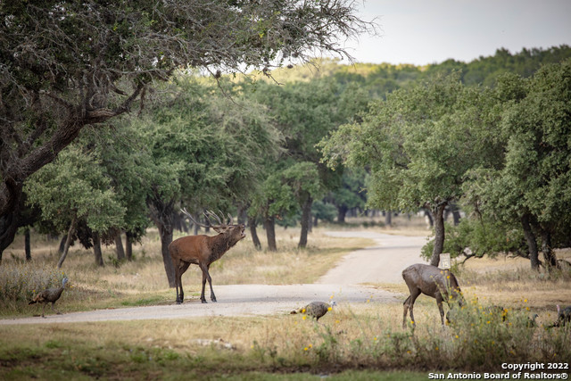 Image 14 of 71 For 20888 Hwy 41