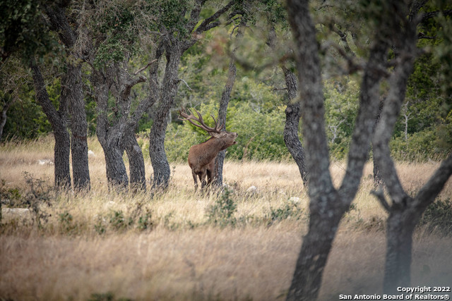 Image 62 of 71 For 20888 Hwy 41