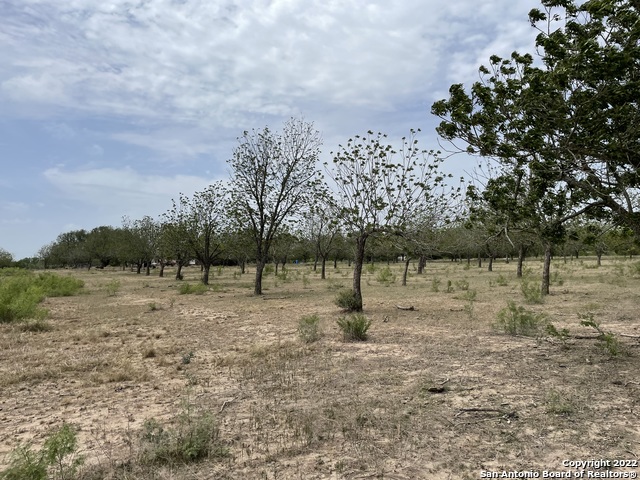 Image 13 of 15 For 8226 Fm 471 N