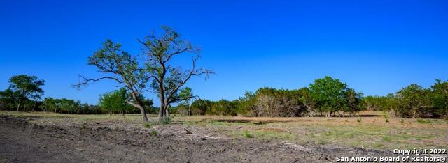 Listing photo id 1 for 61 Seep Springs Drive, Creekside