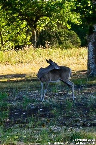 Image 13 of 13 For 1301 Fm 480