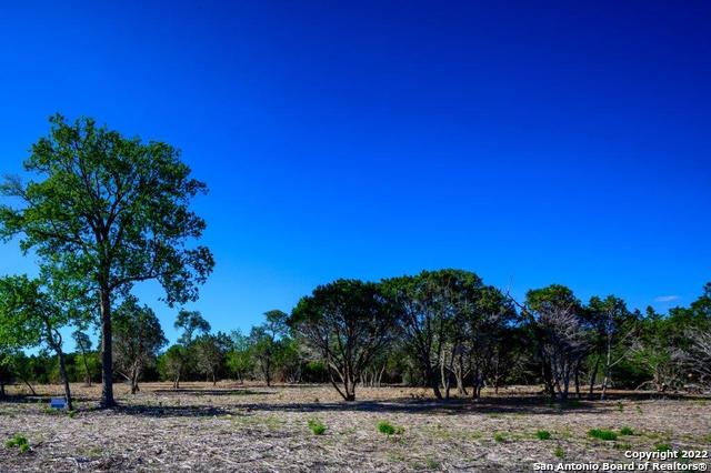 Details for 1301 Fm 480 , , TX 78010