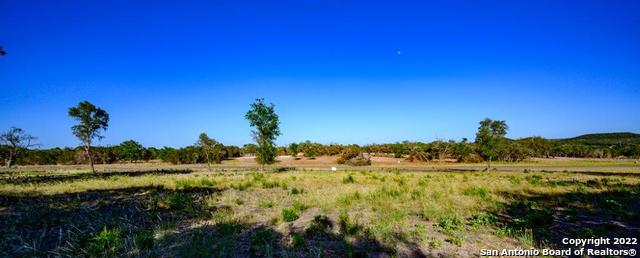 Listing photo id 8 for 1301 Fm 480