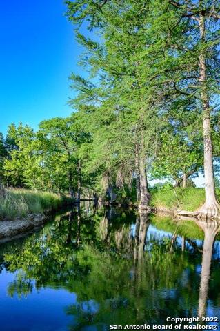 Listing photo id 10 for 1301 Fm 480