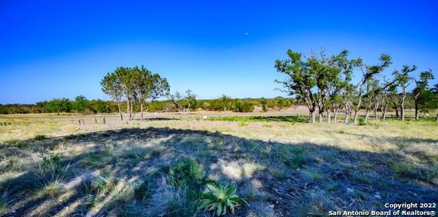 Listing photo id 0 for 1301 Fm 480