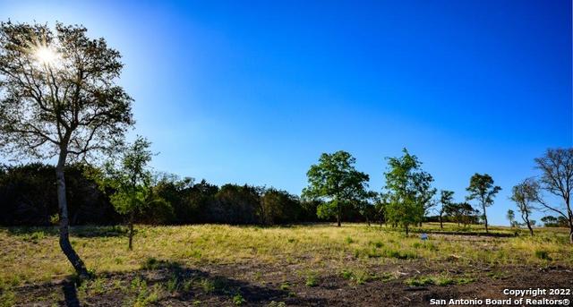 Listing photo id 4 for 1301 Fm 480