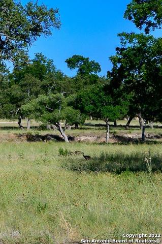 Listing photo id 7 for 1301 Fm 480