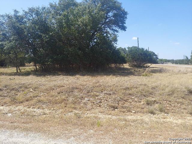 Details for Lot 448 Williams Wood, Blanco, TX 78606