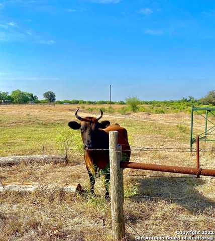 Image 8 of 49 For 13220 E Loop 1604 S