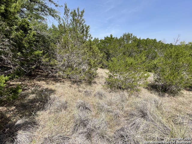 Image 7 of 13 For 421 Bluebonnet Breeze