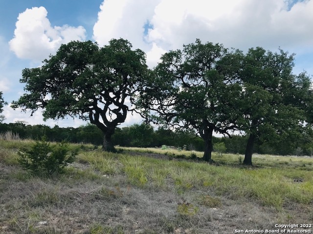 Image 6 of 13 For Parcel 5 Rio Lantana