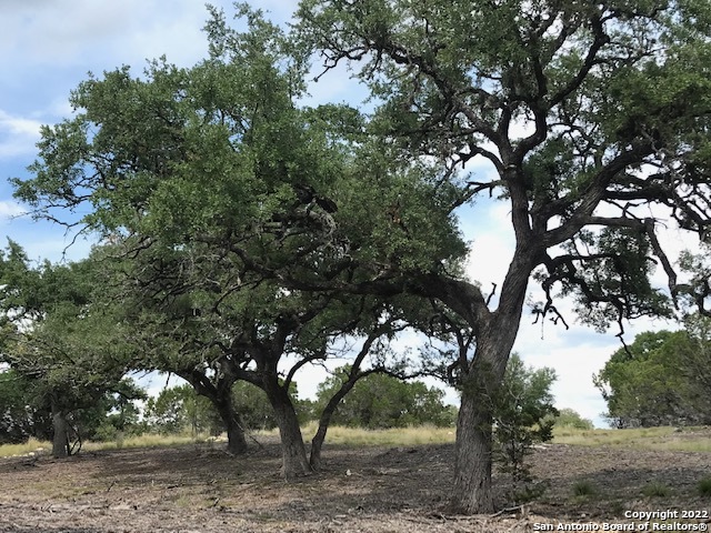 Image 2 of 17 For Parcel 17 Rio Lantana