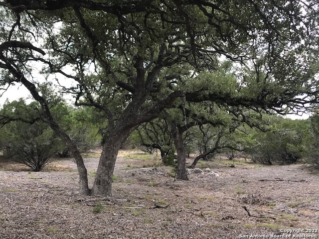 Image 7 of 17 For Parcel 17 Rio Lantana