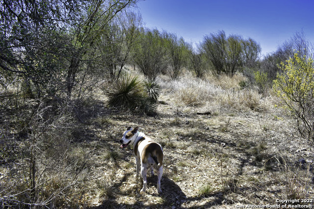 Image 6 of 7 For Tract P County Road 512 & Cr 411