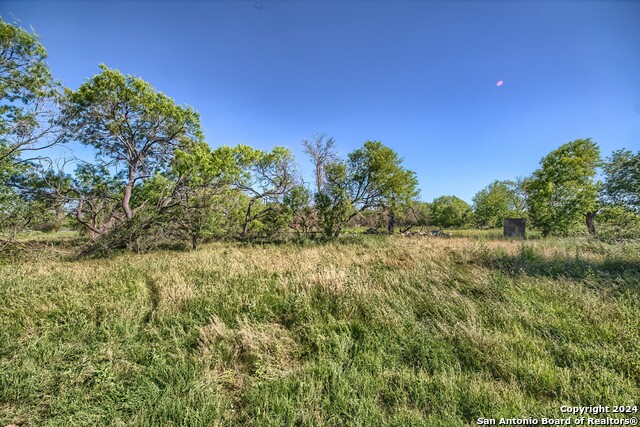 Image 12 of 17 For 12831 Pearsall Rd