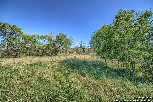 Image 16 of 17 For 12831 Pearsall Rd