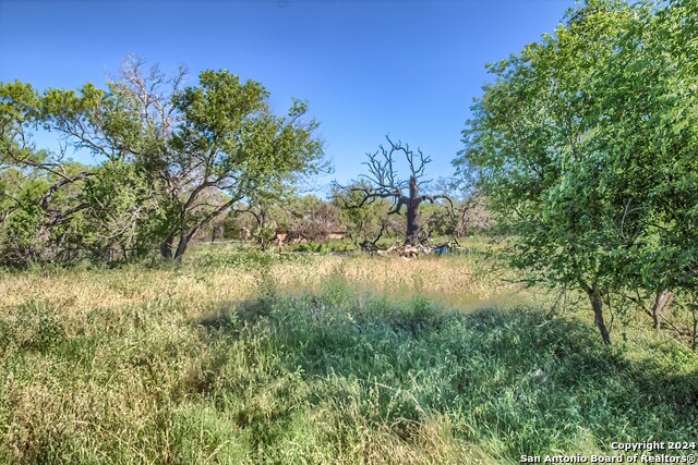 Image 17 of 17 For 12831 Pearsall Rd