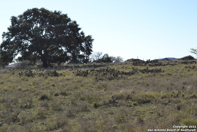 Image 6 of 9 For Lt 22 Stone Crst