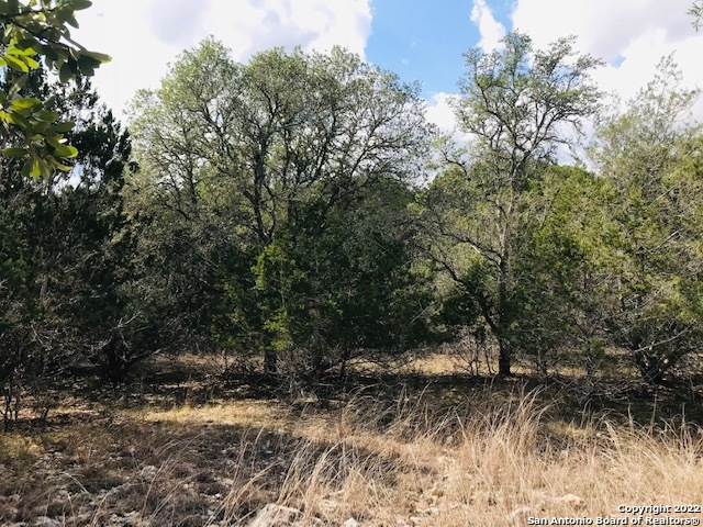 Image 9 of 20 For 0 Saddle Tree