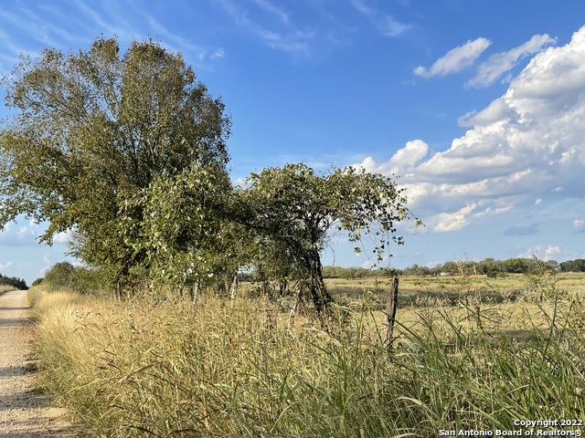 Image 5 of 15 For Tbd County Road 474, Tract 4