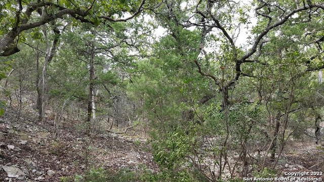 Image 9 of 18 For 76371 Pr 2776 Mico, Tx 78056