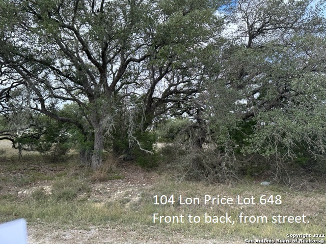 Details for 104 Lon Price S, Blanco, TX 78606